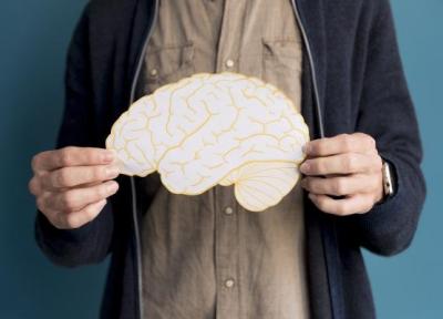 کشف راهی نو برای افزایش یادگیری مغز