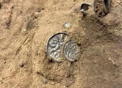 گنجینه ای هزار ساله از سکه های دوران وایکینگ ها در دانمارک کشف شد